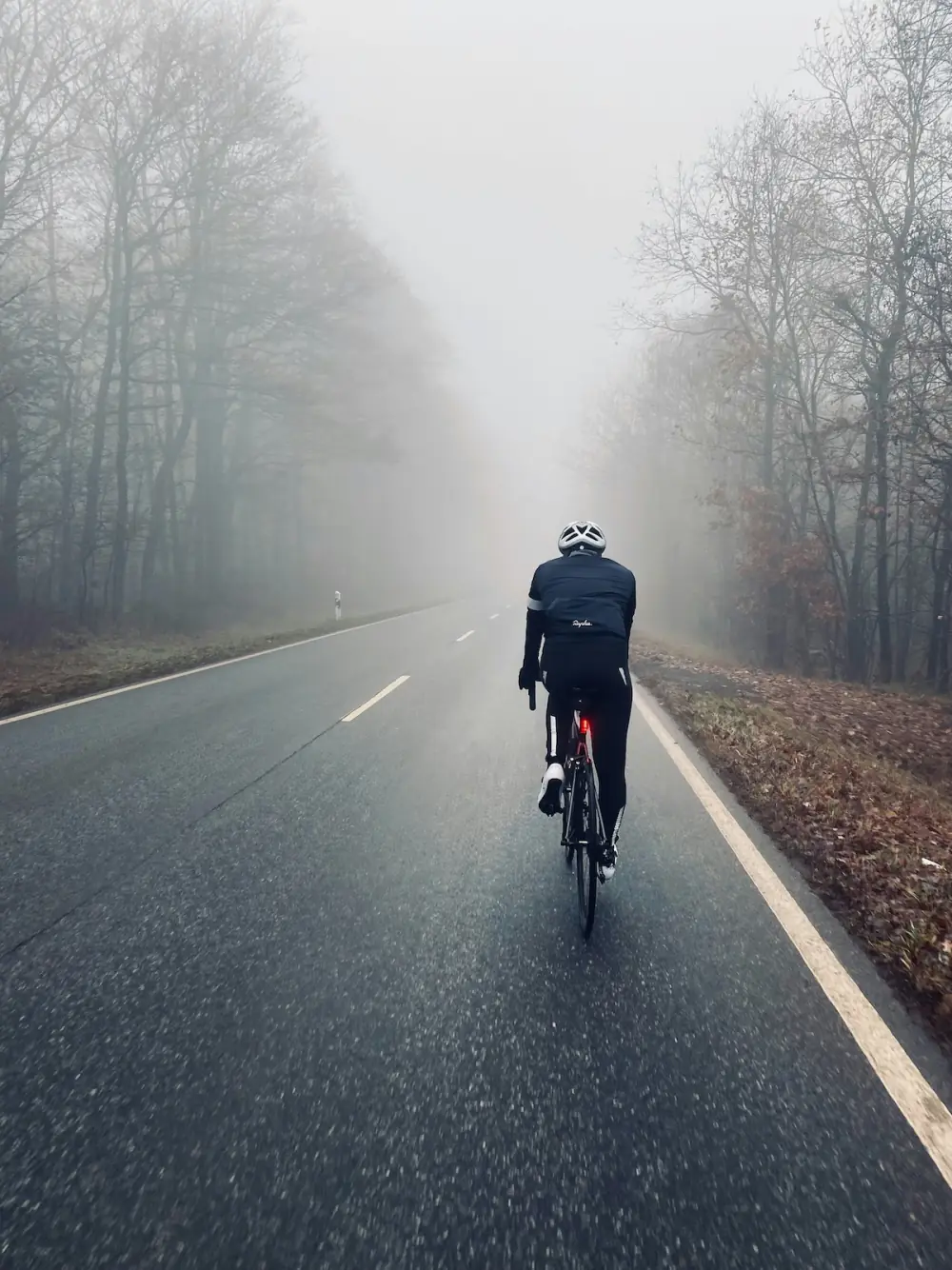 A cyclist riding away down a foggy, tree-lined road
